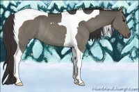 Horse Color:Smoky Grullo Tobiano Rabicano