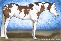 Horse Color:White Spotted Liver Chestnut Splash 