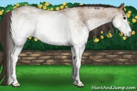 Horse Color:White Spotted Classic Champagne