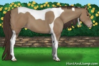 Horse Color:Classic Champagne Tobiano 