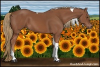 Horse Color:Chestnut Tobiano 