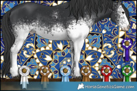 Horse Color:White Spotted Black 