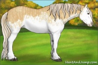 Horse Color:Palomino Dun Splash  and Palomino Dun Splash 