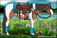 Horse Color:Bay Sabino Tobiano Varnish Rabicano 