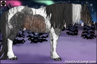 Horse Color:Smoky Blue Roan Rabicano and Brown Tobiano Rabicano