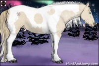 Horse Color:Smoky Creme Tobiano