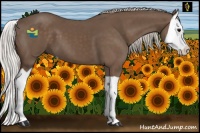 Horse Color:Silver Black Splash 