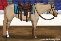 Horse Color:Red Dun Roan 