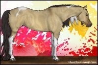 Horse Color:Buckskin Dun Tobiano