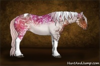 Horse Color:Silver Brown Ice Sabino Tobiano 