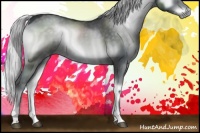 Horse Color:Silver Blue Onyx Chinchilla Sabino 