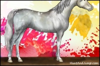 Horse Color:White Spotted Chocolate Silver Blue Onyx Chinchilla Ice Brindle 