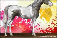 Horse Color:Silver Grullo Ice Sabino Tobiano 