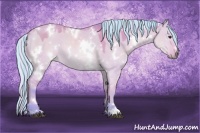 Horse Color:Painted Watercolor White Spotted Silver Brown Dun 