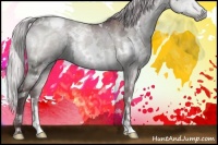 Horse Color:White Spotted Chocolate Silver Grullo Chinchilla Ice 
