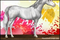Horse Color:White Spotted Chocolate Silver Grullo Chinchilla Ice Sabino 