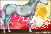 Horse Color:Painted White Spotted Silver Grullo Chinchilla Ice Sabino 