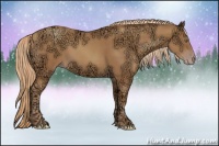 Horse Color:Gold Champagne Ice Rabicano