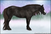 Horse Color:Liver Chestnut Ice Rabicano