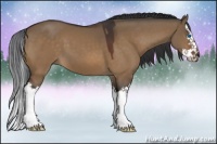 Horse Color:Brown Dun Sabino Splash