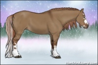 Horse Color:Liver Red Dun Sabino Splash