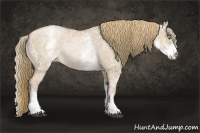 Horse Color:White Spotted Liver Red Dun Ice Pearl Appaloosa Rabicano