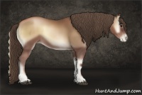 Horse Color:Blue Onyx Pearl