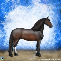 Horse Color:Brown Rabicano