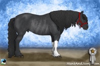 Horse Color:Black Rabicano 