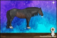 Horse Color:Brown Rabicano