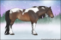 Horse Color:Buckskin Ice Tobiano Rabicano 
