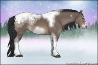 Horse Color:Brown Ice Dun Sabino Tobiano Frame Rabicano