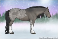 Horse Color:Black Ice Tobiano Rabicano 