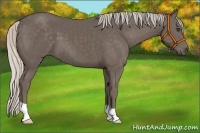 Horse Color:Silver Black 