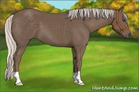 Horse Color:Silver Black 