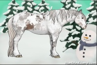 Horse Color:White Spotted Silver Black Ice Mushroom Sabino 