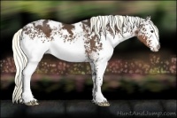 Horse Color:White Spotted Liver Chestnut Ice Mushroom 