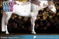 Horse Color:White Spotted Chocolate Brown Dun Frame