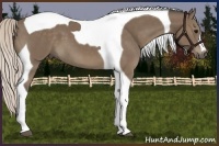 Horse Color:Silver Black Tobiano