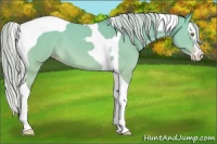 Horse Color:Silver Classic Champagne Dun Splash Tobiano 