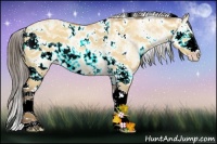Horse Color:Amber Champagne Dun Sabino
