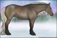 Horse Color:Liver Chestnut Rabicano 