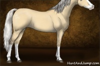 Horse Color:Silver Buckskin Dun Splash 