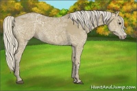 Horse Color:Silver Smoky Blue Ice Roan