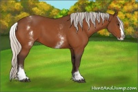 Horse Color:White Spotted Silver Bay Splash 