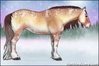 Horse Color:Chocolate Bay Ice Onyx Sabino 