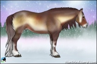 Horse Color:Chocolate Brown Onyx Sabino