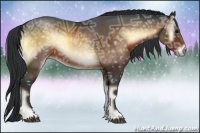 Horse Color:Brown Ice Onyx Rabicano 