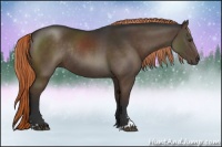 Horse Color:Liver Chestnut Sabino Rabicano 