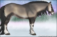 Horse Color:Blue Onyx Sabino Rabicano